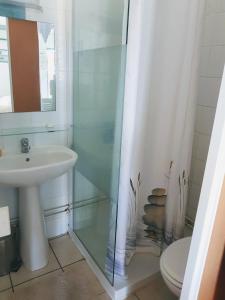 ein Bad mit einer Dusche, einem Waschbecken und einem WC in der Unterkunft Studio Pitaya in Les Trois-Îlets