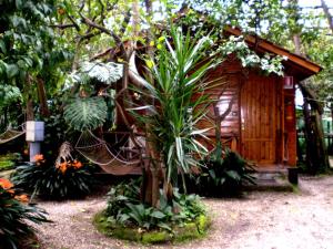 a small wooden cabin with plants in front of it at Residence Villaggio Verde in Sorrento