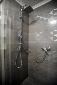 a shower with a shower head in a bathroom at Judit Apartman Dombóvár-Gunaras in Dombóvár