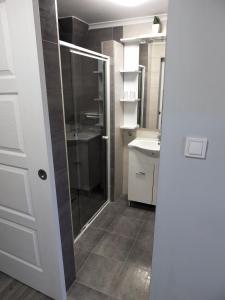 a bathroom with a shower and a sink at Judit Apartman Dombóvár-Gunaras in Dombóvár