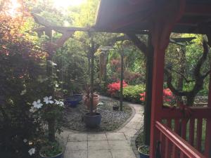 a garden with a wooden pergola and potted plants at The Lavender Room in Saundersfoot