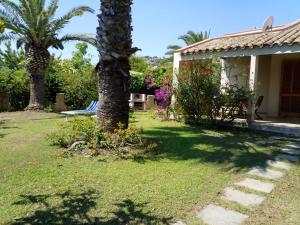 a house with a palm tree in the yard at Trilocale Turagri 45 in Costa Rei