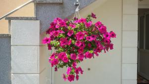 Vonkajšia záhrada v ubytovaní Apartments MARKO-Sevid-20m from the beach