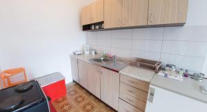Kuchyň nebo kuchyňský kout v ubytování Guest House Agava