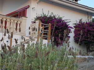 Vonkajšia záhrada v ubytovaní Finca Sa Cova de Mallorca