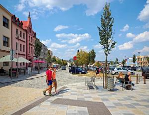 Hosté ubytování Hotel U Labutě