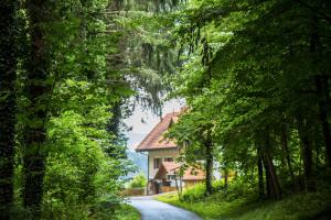 una carretera que conduce a una casa en medio de árboles en Schlossferienhaus, en Wies