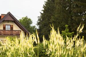 Fotografia z galérie ubytovania Schlossferienhaus v destinácii Wies