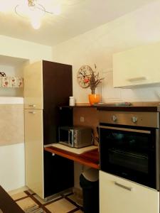 Kuchyň nebo kuchyňský kout v ubytování Apartments Vrisak