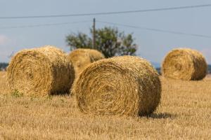 a group of hay bales in a field at Les mésanges du Domaine du Moulin 31 in Trollat