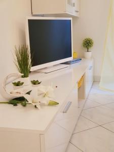 TV a/nebo společenská místnost v ubytování Apartment Rosana