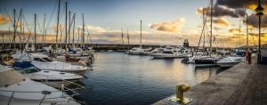 a bunch of boats are docked in a harbor at Casa Zen in Puerto Calero