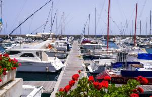 a bunch of boats docked in a marina with red flowers at Casa Zen in Puerto Calero
