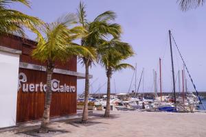 two palm trees in front of a marina with boats at Casa Zen in Puerto Calero