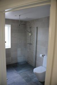 a bathroom with a shower and a toilet in it at Middle Farm Cottage in Wells