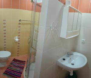 a bathroom with a shower and a sink and a toilet at Lucky apartmán in Svoboda nad Úpou