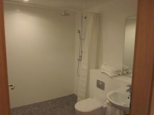 y baño con aseo, lavabo y ducha. en Apartment Brekka í Lóni, en Stafafell