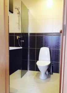 uma casa de banho com um WC, um lavatório e um chuveiro em Stylish apartment with sauna em Kuressaare