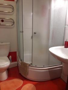a bathroom with a shower and a toilet and a sink at Апартаменты в центре in Chernihiv