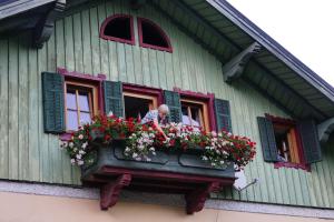 Majutusasutuse Pension Eckschlager külastajad
