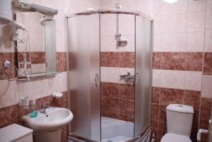 e bagno con doccia, servizi igienici e lavandino. di Apartment ENTER a Banja Koviljača