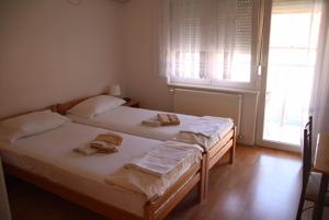 two twin beds in a room with two windows at Apartment ENTER in Banja Koviljača