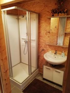 a bathroom with a shower and a sink at Ferienhaus FRIEDLHOF in Langschlag