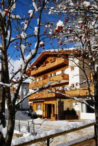 Gallery image of Residence Adler in San Martino di Castrozza