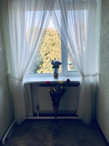 Foto dalla galleria di Hotel - Hostel Marichka a Chmil'nyk Altre 10 foto