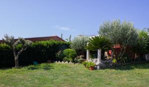 un giardino con alberi e piante in un cortile di Villa Donna Fausta P. ad Agerola