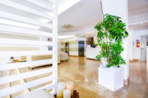a living room with a white wall and a plant at Hotel Aqua in Cattolica