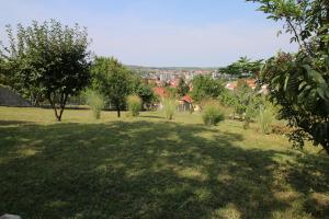 Príroda v okolí apartmánu