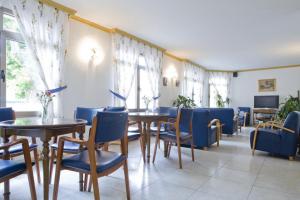 Televízia a/alebo spoločenská miestnosť v ubytovaní Hotel La Noyesa *** Superior