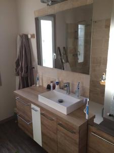 a bathroom with a sink and a large mirror at La Risloise in Corneville-sur-Risle