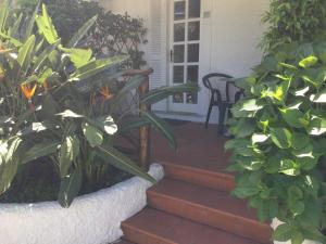 Eine Veranda mit einem Haufen Pflanzen und einer Tür in der Unterkunft Hotel Parco Maria Terme in Ischia