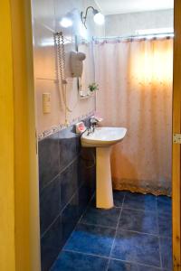 uma casa de banho com um lavatório e um chuveiro em Lo de Hilda em Villa Elisa