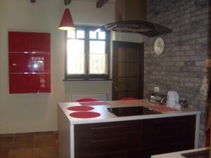 a kitchen with a sink and a counter top at Willa Lawenda in Duszniki Zdrój +27 photos