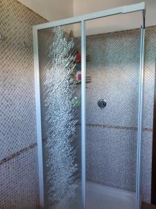 a shower with a glass door in a bathroom at Casa Pinella in Villamassargia