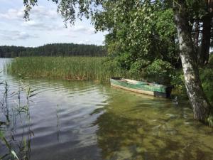 Príroda v okolí chaty v prírode