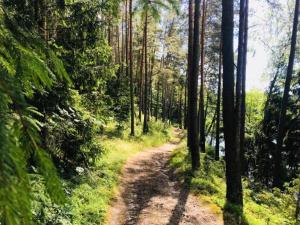 Príroda v okolí chaty v prírode