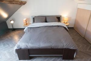 uma cama grande num quarto com duas lâmpadas em Duplex de charmes n°1 Auxerre. em Auxerre