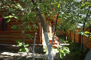 Gallery image of Cottage Club Nagornyy in Kazan