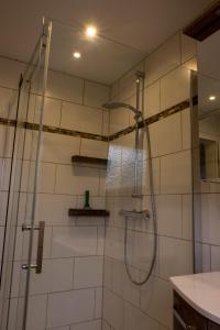 een douche met een glazen deur in de badkamer bij Sehr schöne Ferienwohnung am Starkenbrunnen in Ruppertsweiler