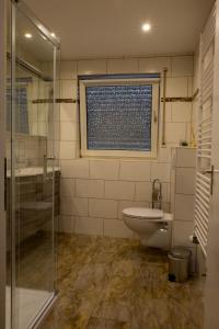een badkamer met een douche, een toilet en een raam bij Sehr schöne Ferienwohnung am Starkenbrunnen in Ruppertsweiler