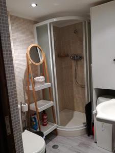 セジンブラにあるSesimbra Falésiaのバスルーム(シャワー、トイレ、鏡付)