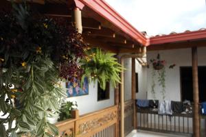 une terrasse couverte d'une maison ornée de plantes dans l'établissement Sergeant Pepper's Hostel, à Jardín