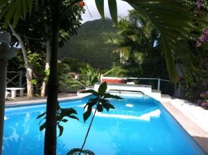 a large blue swimming pool with a mountain in the background at El Momo Cottages in Windward Side