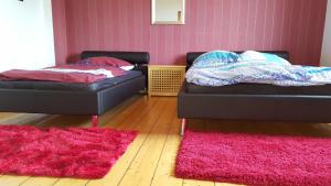 ハーゲンにあるMonteur Apartment Scarlettのピンクの壁のドミトリールーム ベッド2台