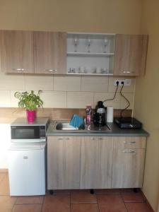 a small kitchen with a sink and a stove at Kerékvár apartman Gyula in Gyula