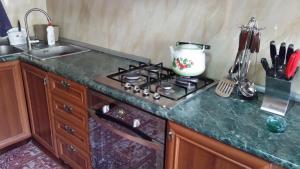 Kuchyň nebo kuchyňský kout v ubytování Villa in Tbilisi